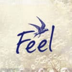 feel-festival